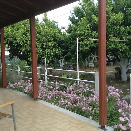 Studios Lalu Skiathos-Stadt Exterior foto