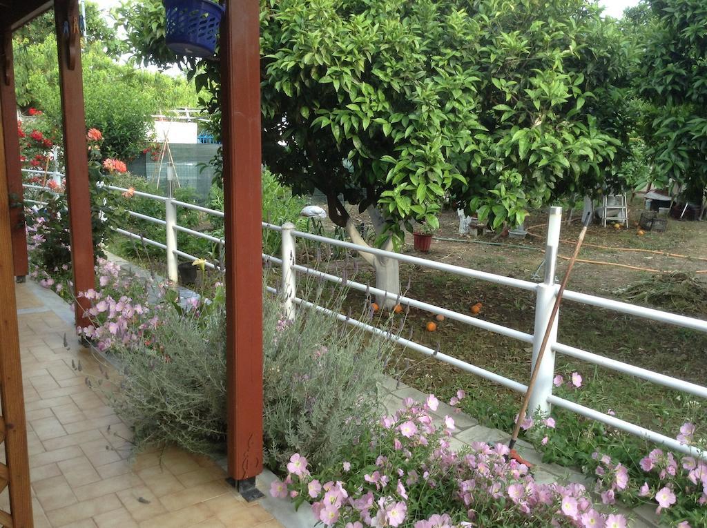 Studios Lalu Skiathos-Stadt Zimmer foto